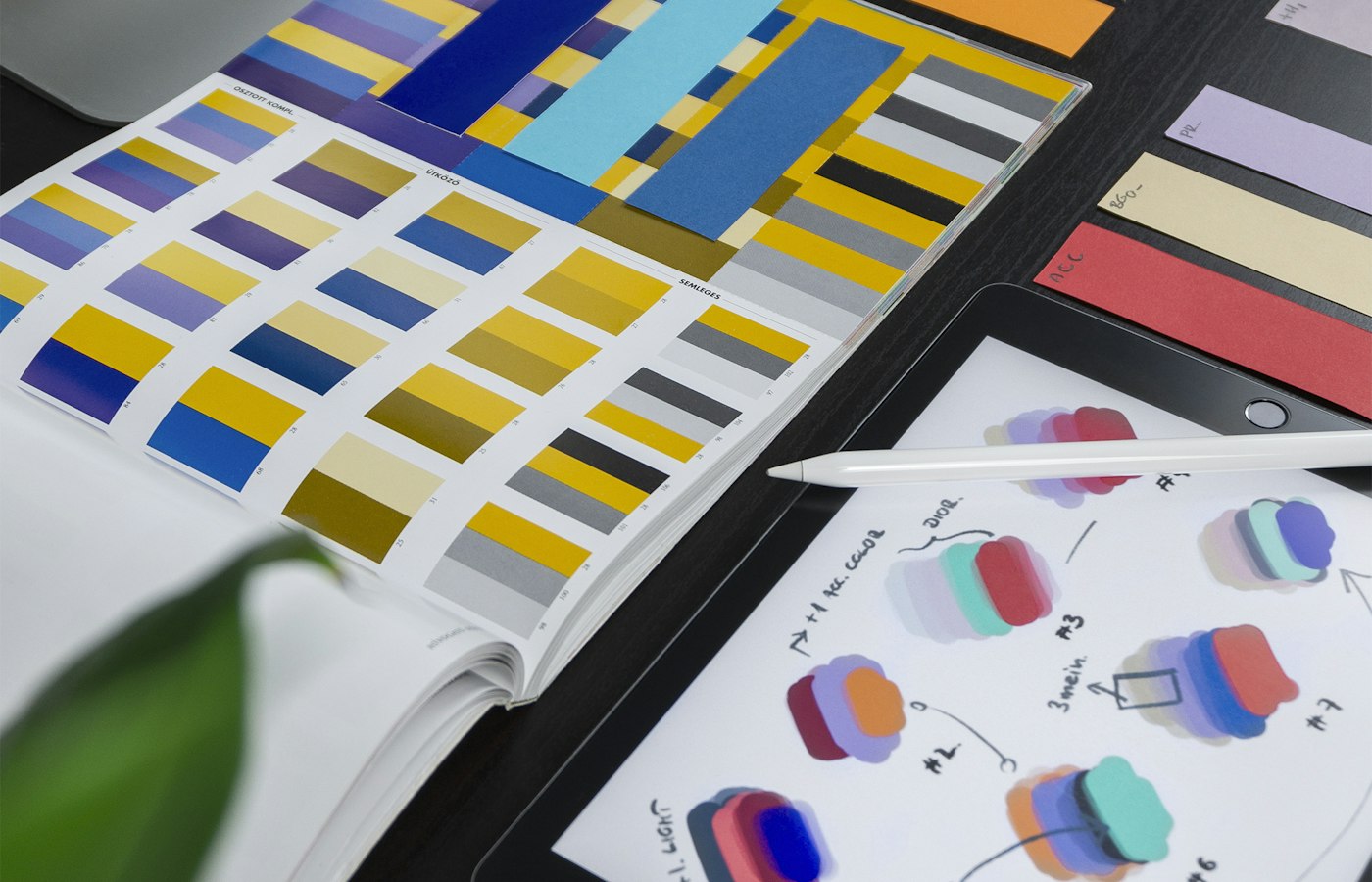 Branding & Identity